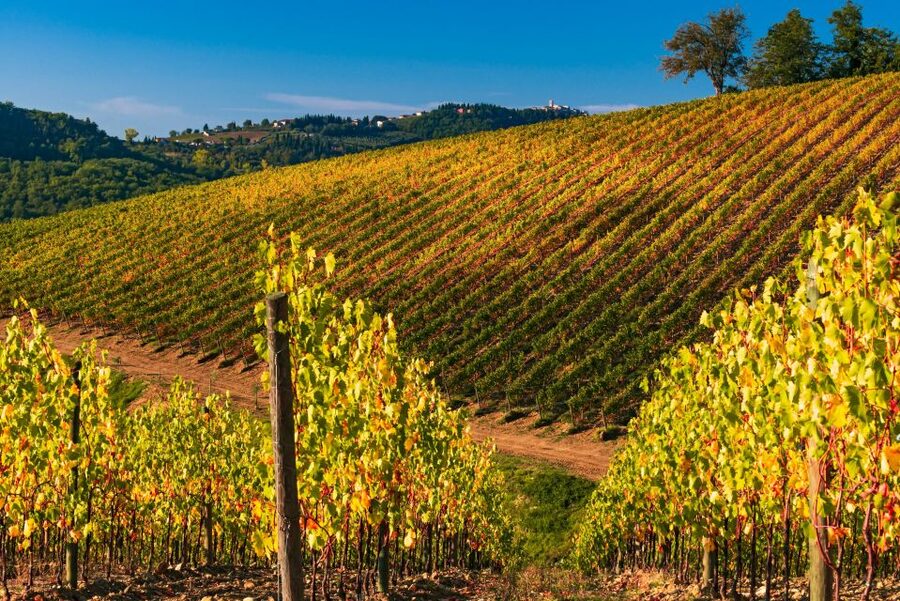 From Florence: Chianti Hills Half-Day Tour with Wine Tasting - Is $48 a Fair Price?