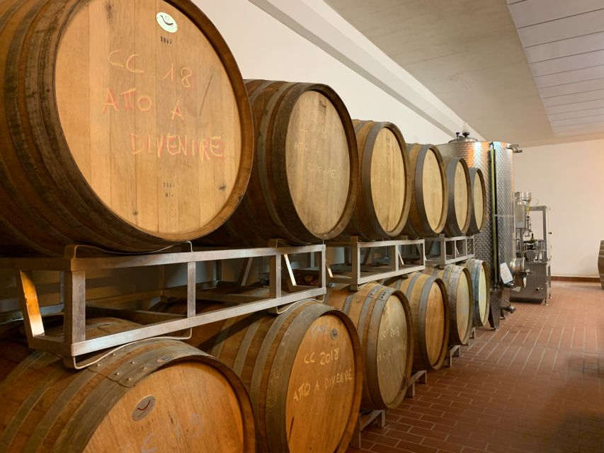 From Florence: Chianti Hills Half-Day Tour with Wine Tasting - Final Verdict: Book It for a Taste, Not the Whole Story