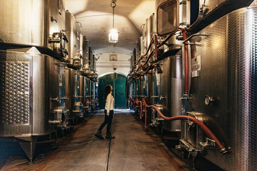 From Florence: Chianti Wine and Food Tasting Safari - What the guides add to the day