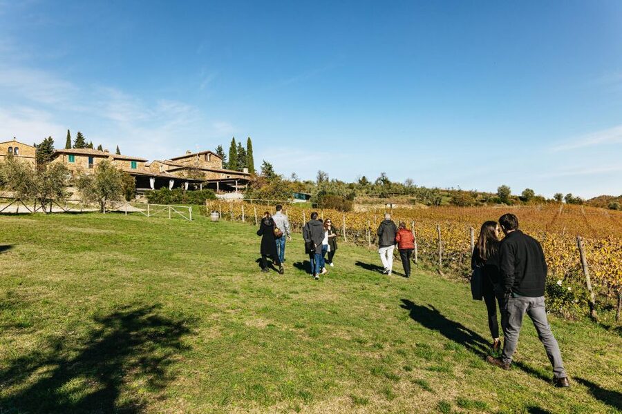 From Florence: Chianti Wine and Food Tasting Safari - Food, wine, and how much you actually receive