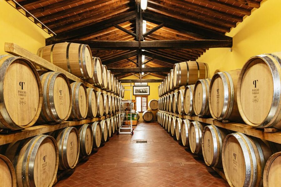 From Florence: Chianti Wine and Food Tasting Safari - Practical limits you should know before booking