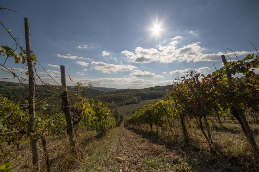 From Florence: Chianti Wine Tastings at Sunset Day Trip - Key points before you book