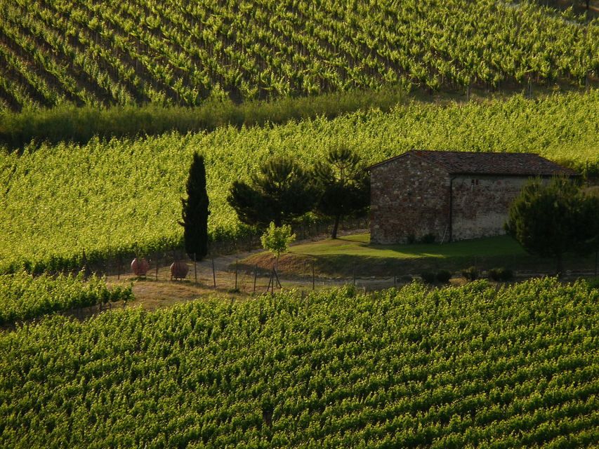 From Florence: Chianti Wine Tastings at Sunset Day Trip - What happens inside the two wineries