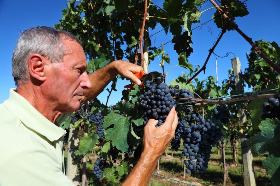 From Florence: Chianti Wine Tour with Tasting - First Winery: A More Personal Introduction