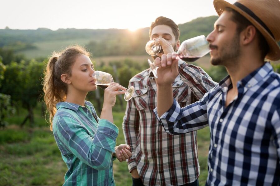 From Florence: Chianti Wine Tour with Tasting - Free Time Among the Vines