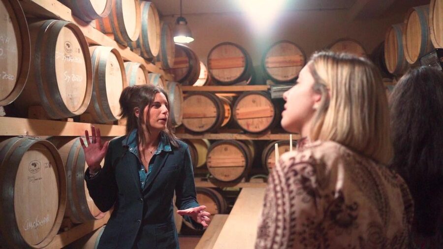 From Florence: Chianti Wine Tour with Tastings - Price, comfort, and overall value