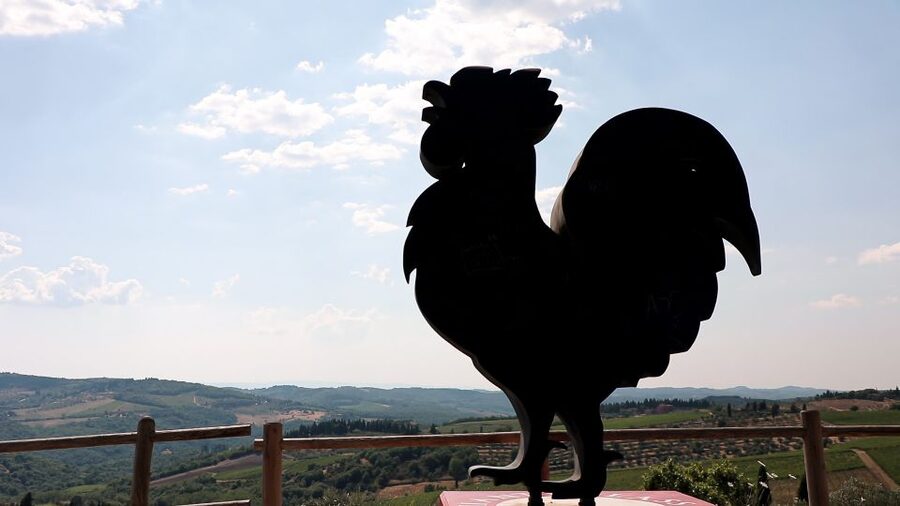 From Florence: Chianti Wine Tour with Tastings - Who will enjoy this Chianti outing?