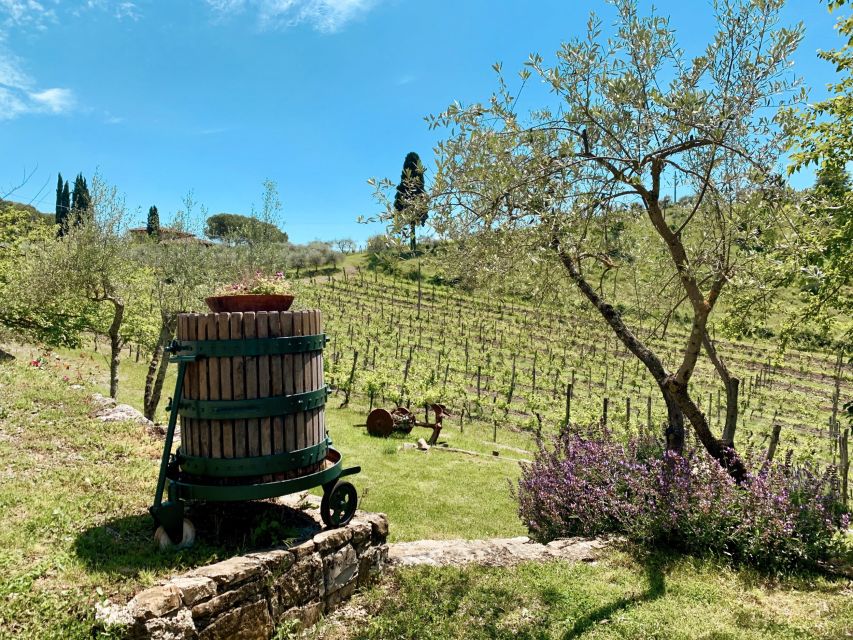 From Florence: Private Chianti Hills Tour with Tasting - Should you book the Florence to Chianti tour?