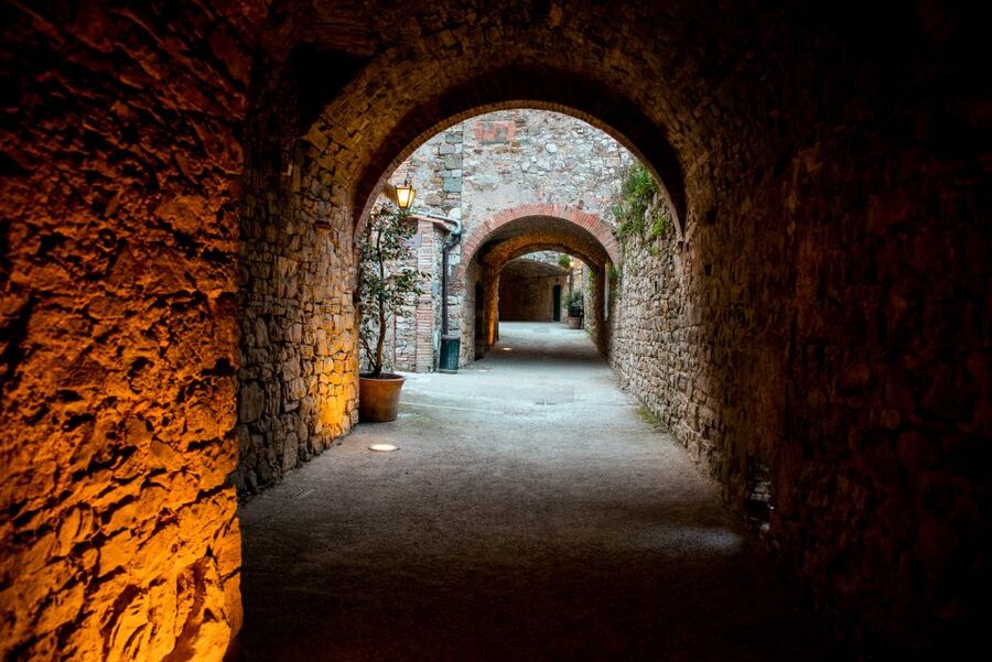 From Florence: Private Chianti Hills Tour with Tasting - The second winery: a different style of tasting