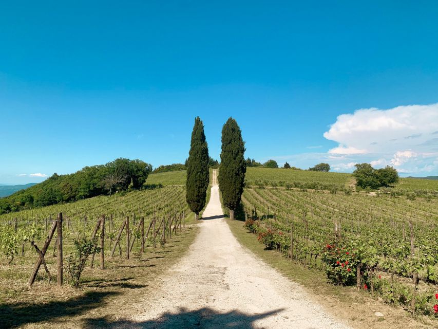 From Florence: Private Chianti Hills Tour with Tasting - Six hours that feel well planned, with a few rushed moments
