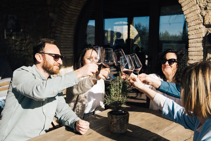 From Florence: Private Chianti Hills Tour with Tasting - Transport, guides, and group comfort