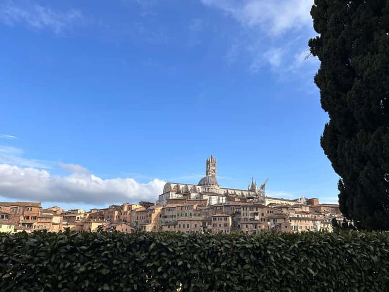 From Florence: San Gimignano, Siena, and Chianti Wine Tour - Siena: Palio Traditions and Piazza del Campo
