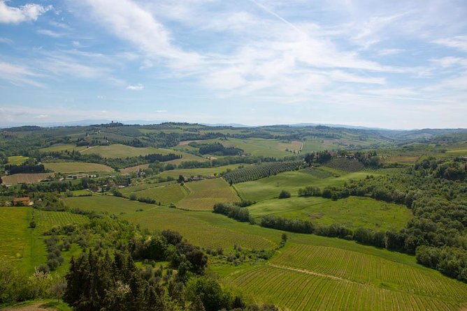 From Florence: Small-Group Tuscany Wine & Oil Tour with typical Tuscan Meal - Why the transport makes a difference