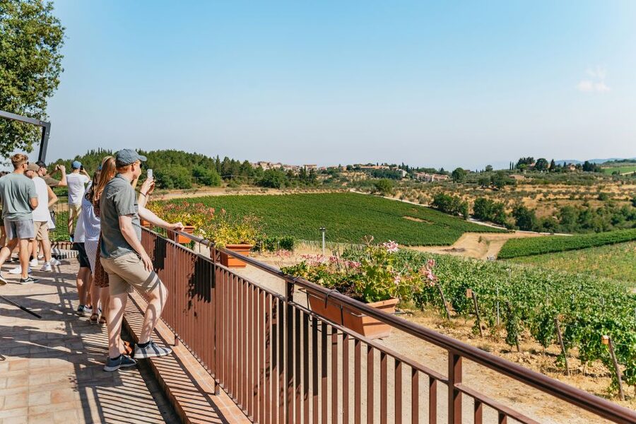 From Florence: Small Group Wine Tasting Tour to Tuscany - First winery: three wines, olive oil, and cellar techniques