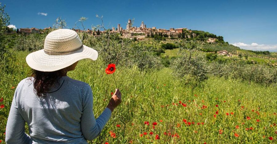 From Florence: Tuscany Highlights Full-Day Tour - Lunch and wine in the Chianti hills