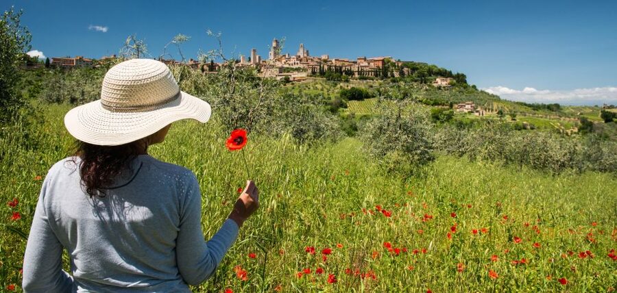 From Florence: Tuscany Highlights Full-Day Tour - The coach ride through Chianti