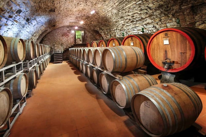 From Florence: Tuscany Wine & Food Tour with Guide - Key points to know before booking