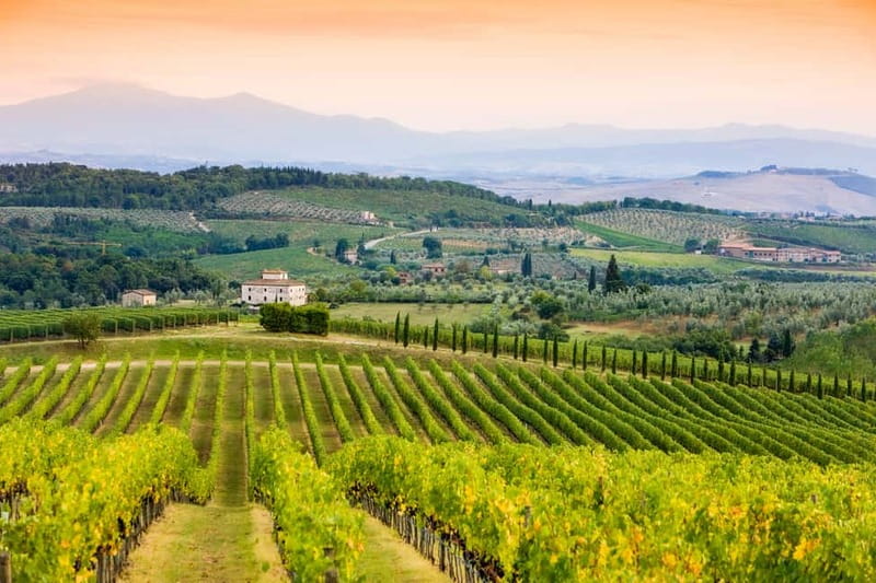 From Florence: Tuscany Wine & Food Tour with Guide - Why the vehicle and guide affect the day