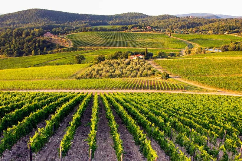 From Florence: Tuscany Wine & Food Tour with Guide - Is $175 good value for a full day?