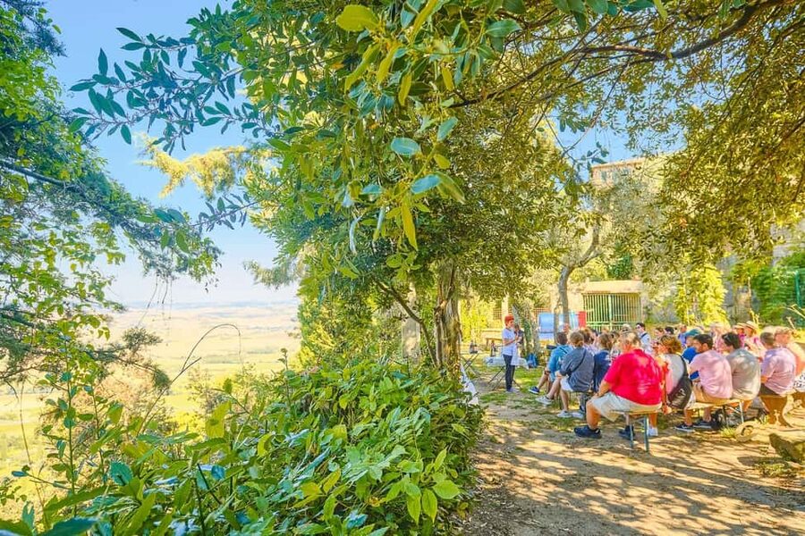 From Florence: Val D'Orcia Tour with Wine Tasting - Food, wine, and what is really included