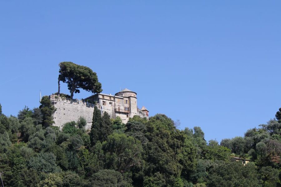 From Genoa: Boat Tour to Portofino with Free Time to Explore - Small drawbacks that can affect your day