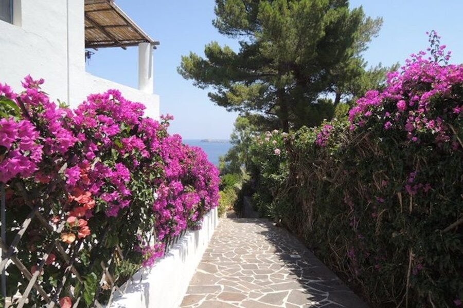 From Lipari: Panarea and Stromboli Cruise with Stops - What $79 buys you on this cruise