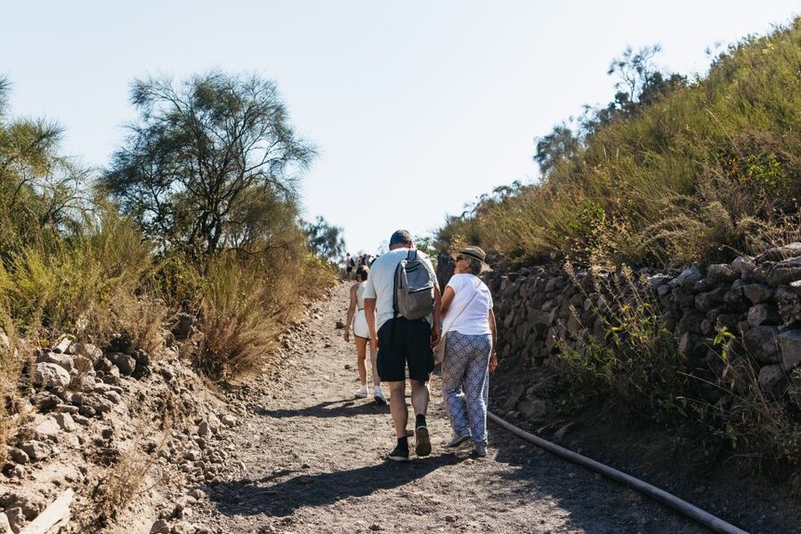 From Naples: All-Inclusive Mount Vesuvius Half-Day Tour - Final verdict: should you book it?
