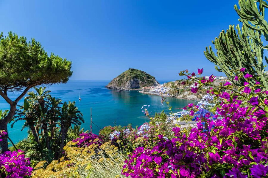 From Naples: Amalfi Coast Day Trip with Sorrento & Positano - The road to Positano and the value of a good driver
