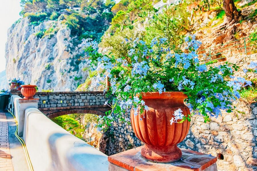 From Naples: Capri and Blue Grotto Day Tour - Why this Capri trip works well from Naples