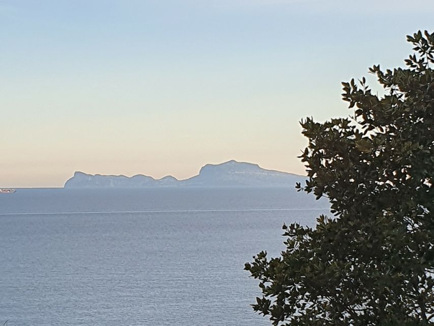 From Naples: Capri Day Trip with Lunch - Key points at a glance
