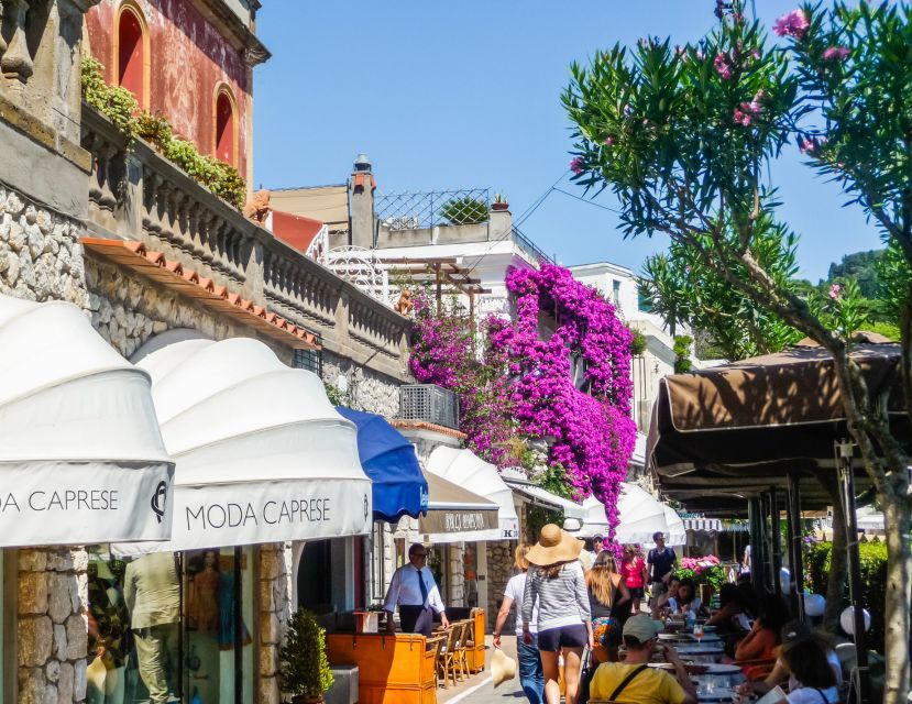 From Naples: Capri Guided Tour with Ferry Tickets & Minibus - Who will enjoy this tour most