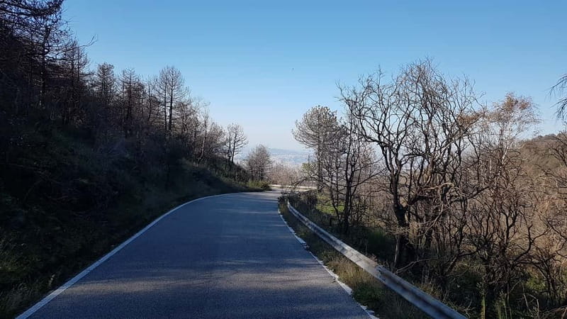 From Naples: Day Trip to Mount Vesuvius - Is $79.30 a fair price?