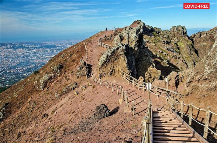 From Naples: Day Trip to Mount Vesuvius - Who should book this Mount Vesuvius trip?