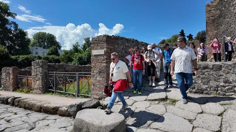 From Naples: Guided tour of Pompeii skip-the-line and round-trip train - Key points to know before you book