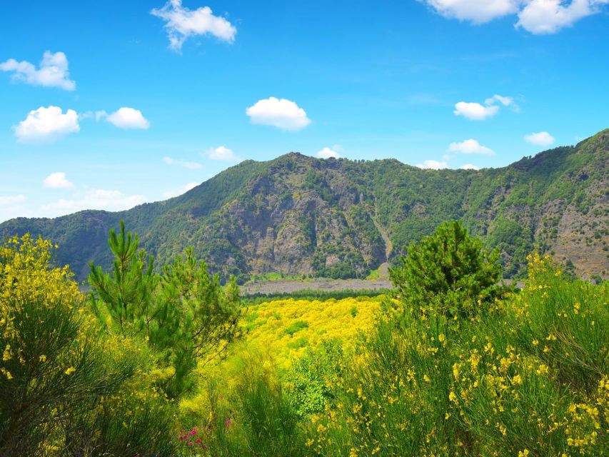 From Naples: Mount Vesuvius Transfer with Entry Tickets - How much time is really enough?
