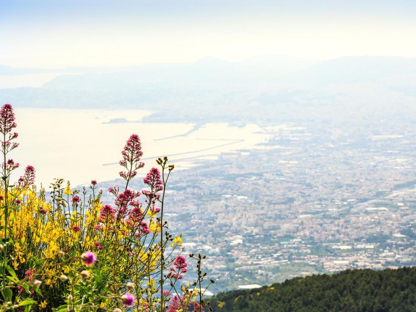 From Naples: Mount Vesuvius Transfer with Entry Tickets - Price and what you get for $51.24