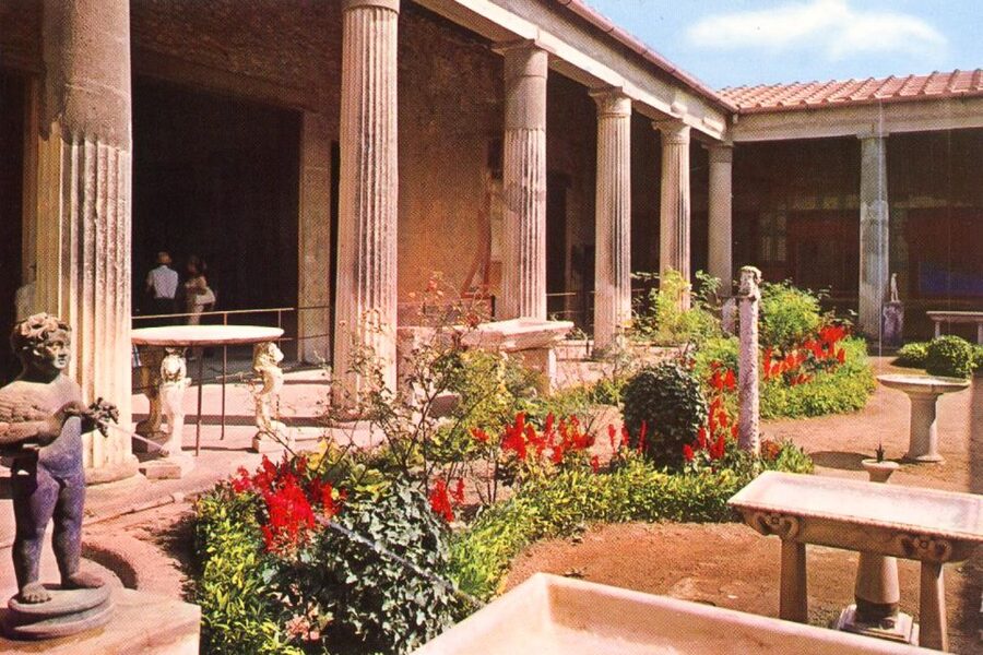 From Naples or Sorrento: Pompei Half-Day Tour - Languages, timing, and booking flexibility