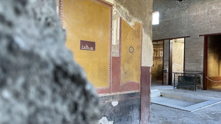 From Naples: Pompeii Guided Tour with Skip-the-Line Tickets - The 25-minute ride from Naples to Pompeii