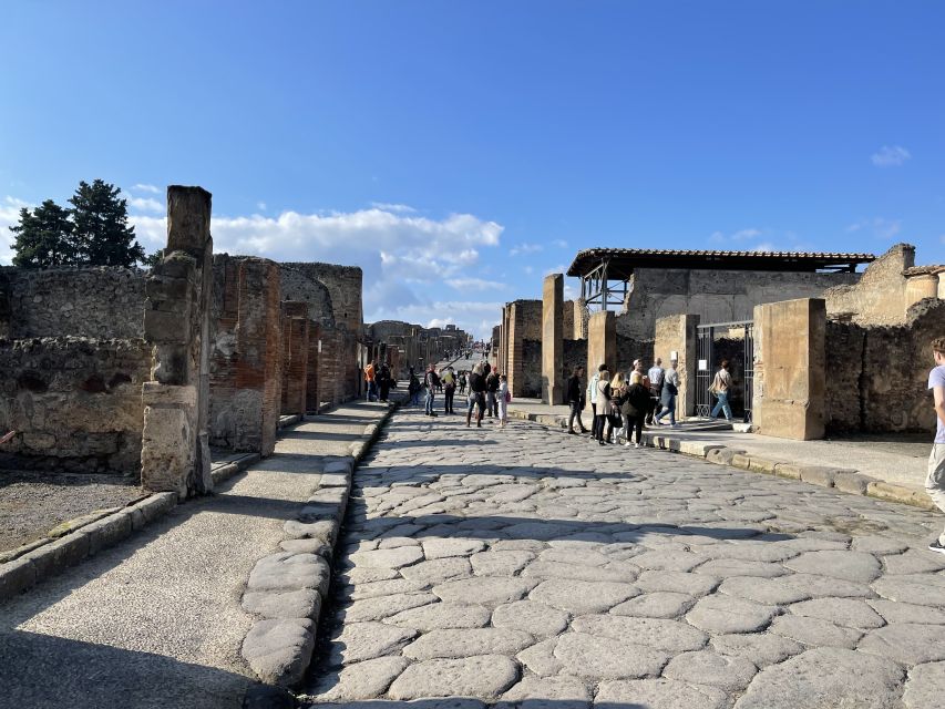 From Naples: Pompeii Guided Tour with Skip-the-Line Tickets - Meeting near Via Galileo Ferraris, 6