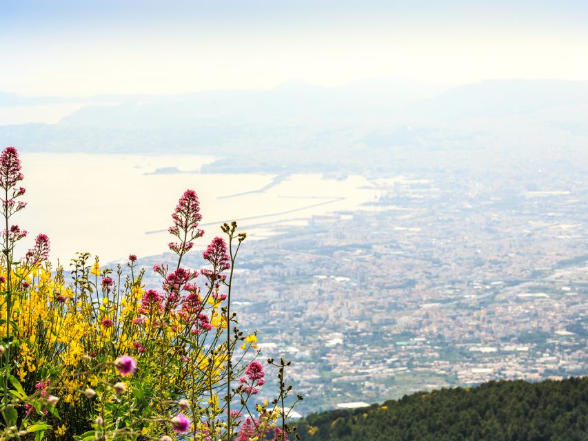 From Naples: Pompeii, Herculaneum, & Vesuvius Full-Day Tour - What to bring for a long day