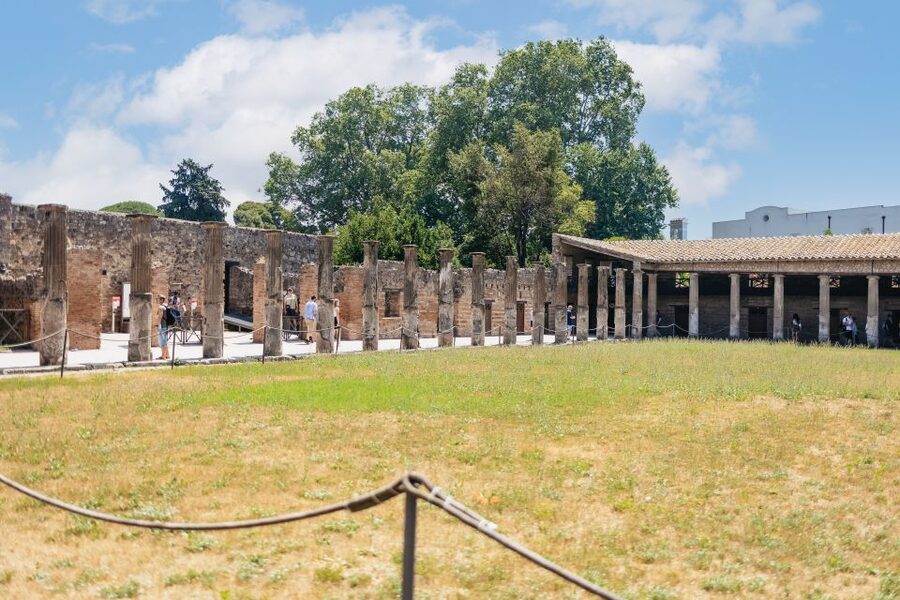 From Naples: Pompeii Ruins & Mount Vesuvius Day Tour - Who should book this Pompeii and Vesuvius tour?