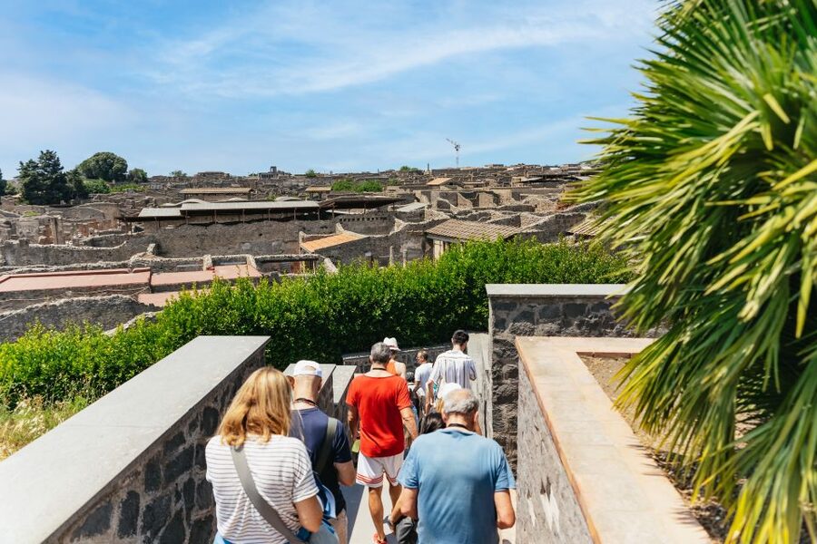 From Naples: Pompeii Ruins & Mount Vesuvius Day Tour - Guide quality and group organization
