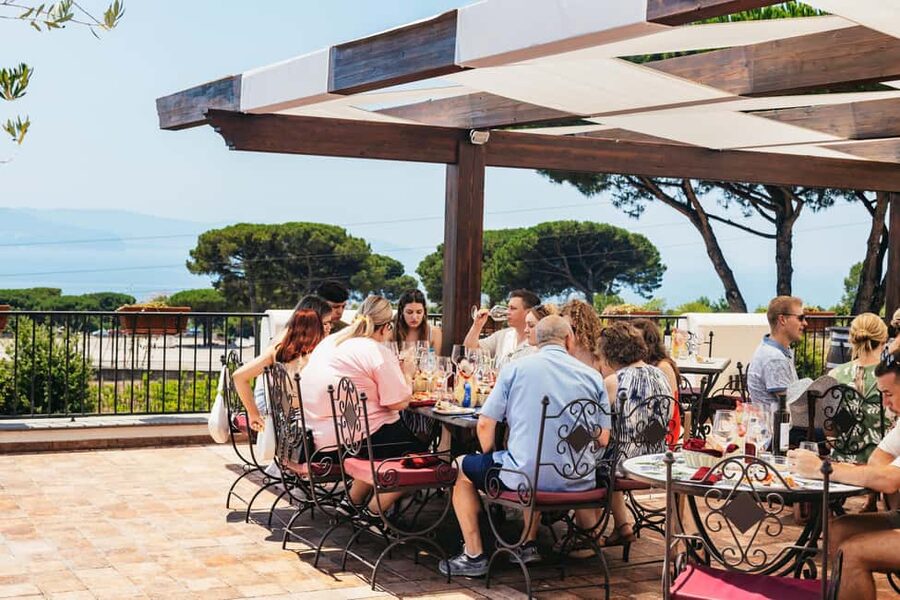 From Naples: Wine Tasting Tour on Vesuvius Slopes with Lunch - Key points at a glance