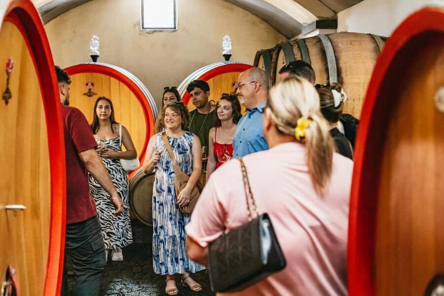 From Naples: Wine Tasting Tour on Vesuvius Slopes with Lunch - Who Will Enjoy This Four-Hour Outing?