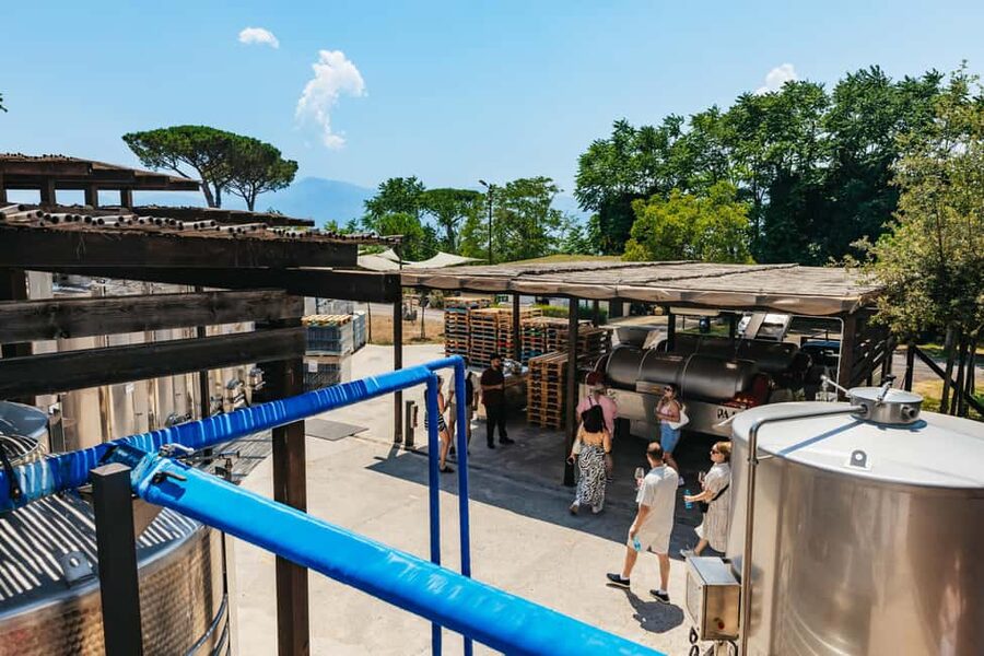 From Naples: Wine Tasting Tour on Vesuvius Slopes with Lunch - FAQ