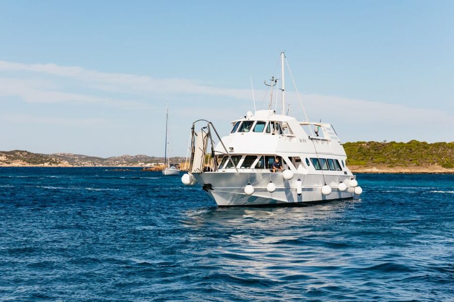 From Palau: La Maddalena Islands Full-Day Trip by Boat - Lunch on the Sea Star