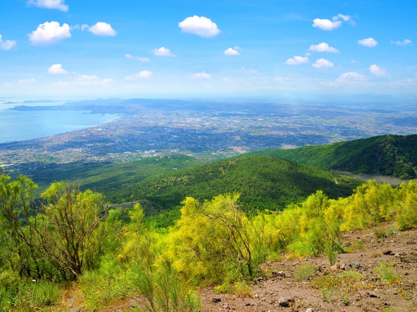 From Pompeii: Bus Transfer to Vesuvius with Park Entry Fee - Key points before you book