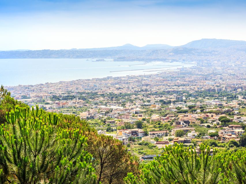 From Pompeii: Bus Transfer to Vesuvius with Park Entry Fee - The ride back to Pompeii
