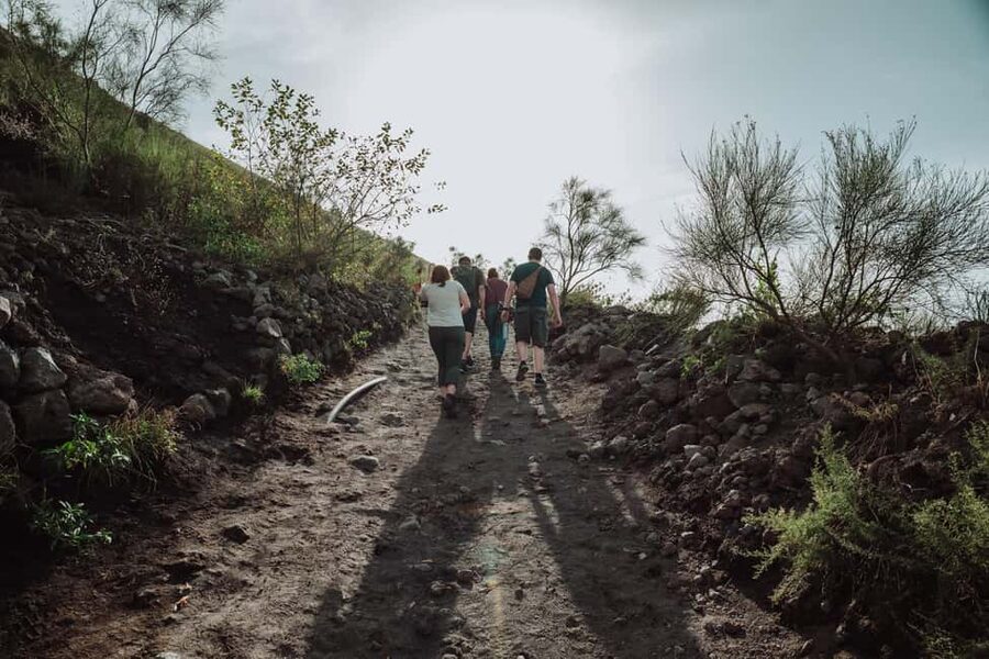 From Pompeii: Mount Vesuvius Guided Tour with Transfer - Who should book this Vesuvius tour?