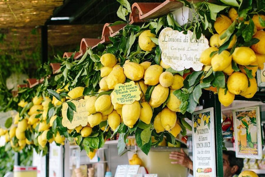 From Positano: Sorrento Coast & Capri Full-Day Trip by Boat - Three to five hours to make Capri your own